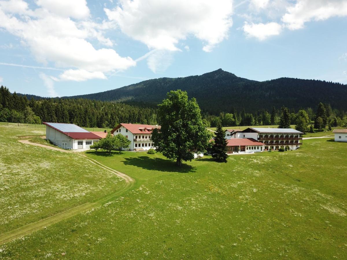 Osserhotel - B&B Am Osser Lohberg Esterno foto
