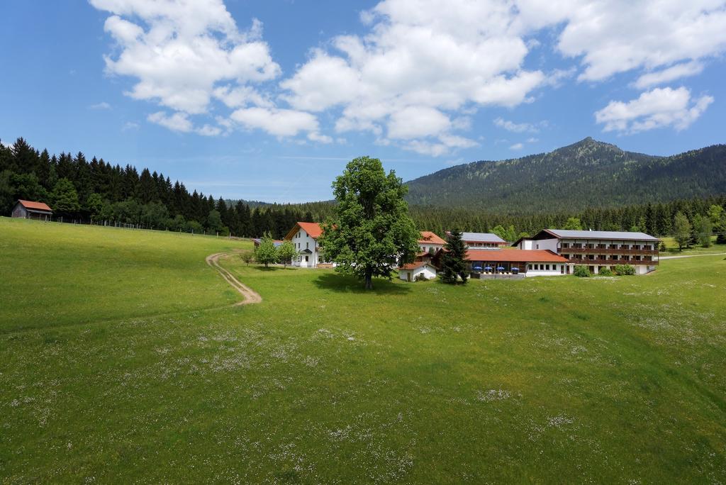 Osserhotel - B&B Am Osser Lohberg Esterno foto